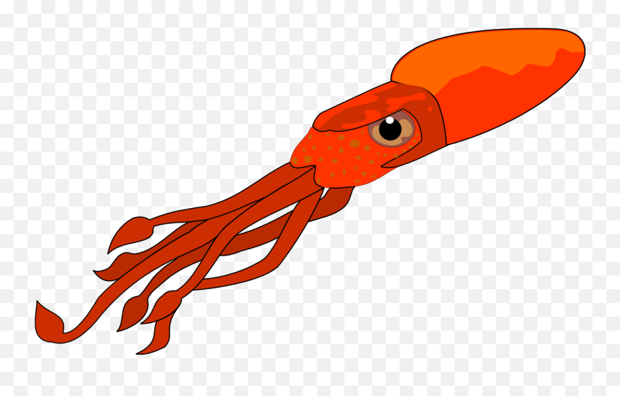 Squid Png - Clip Art Squid,Squid Png