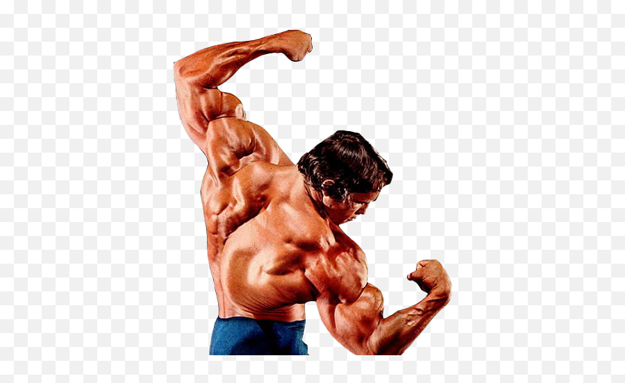 Arnold Schwarzenegger Bodybuilding Png - Transparent Body Builder Png,Arnold Schwarzenegger Png
