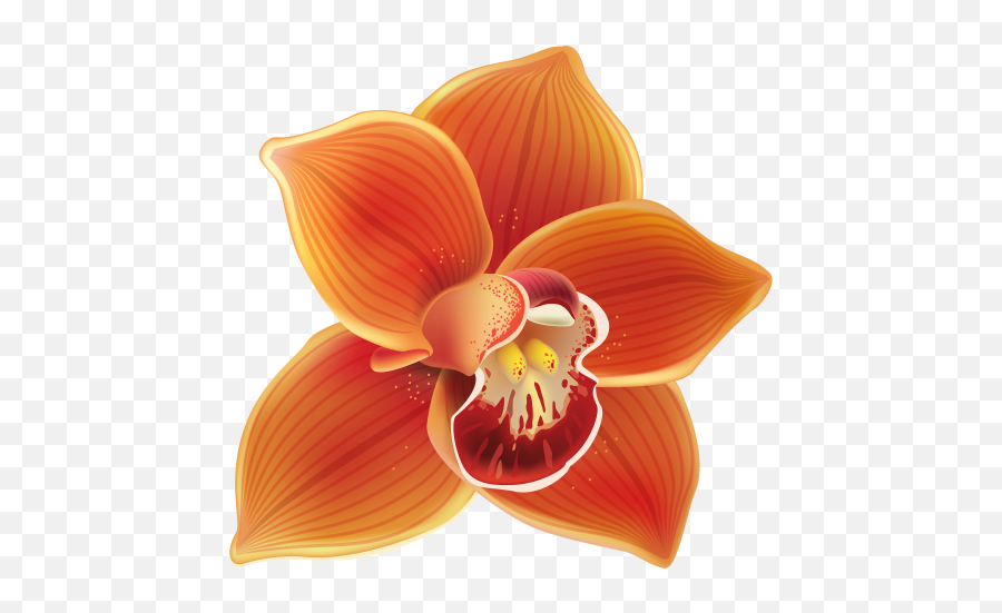 Orange Orchid Png Clipart - Orange Orchid Clipart,Orchid Png