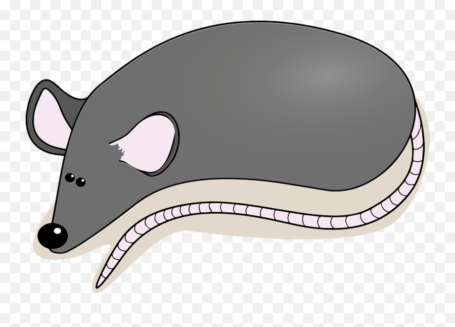 Mouse Rat Animal - Free Vector Graphic On Pixabay Rat Png,Rodent Png