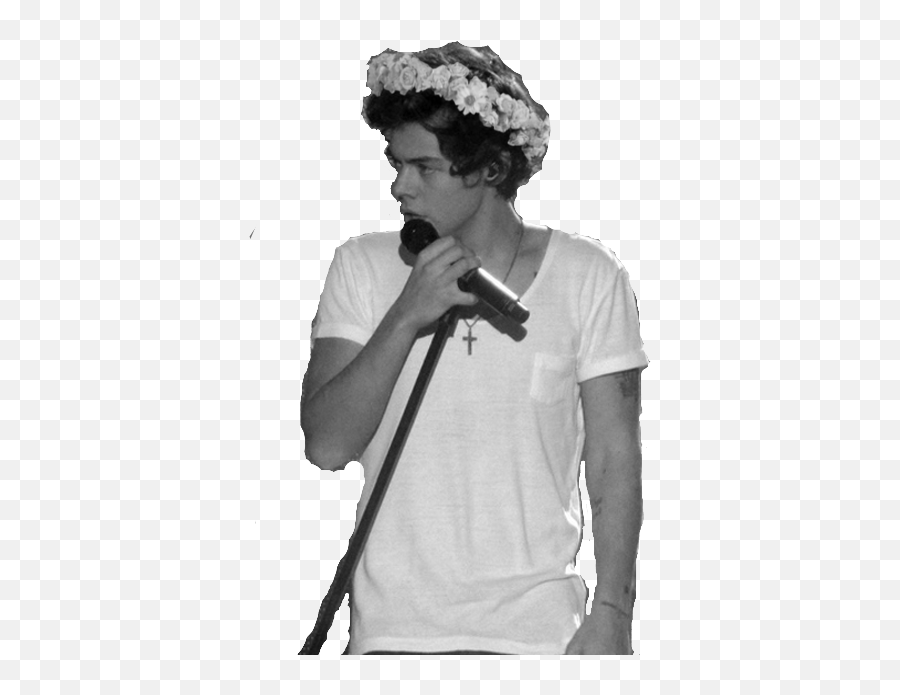 Download Hd Aloha Tropical Bliss Tumblr - Make A Flower Crown Png,One Direction Transparents