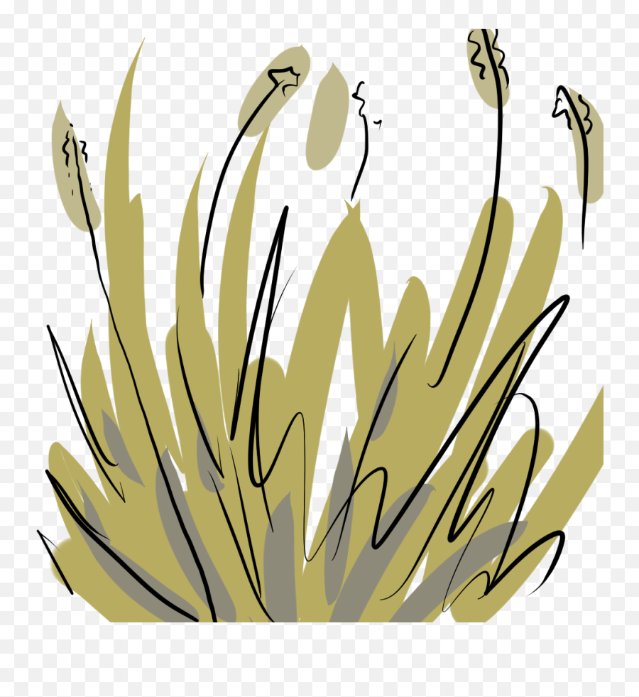 Testing A Method For Creating Plants - Language Png,Desert Plant Png