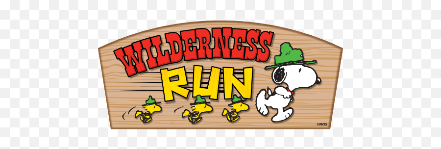 Wilderness Run - Carowinds Wilderness Run Logo Png,Fury 325 Logo