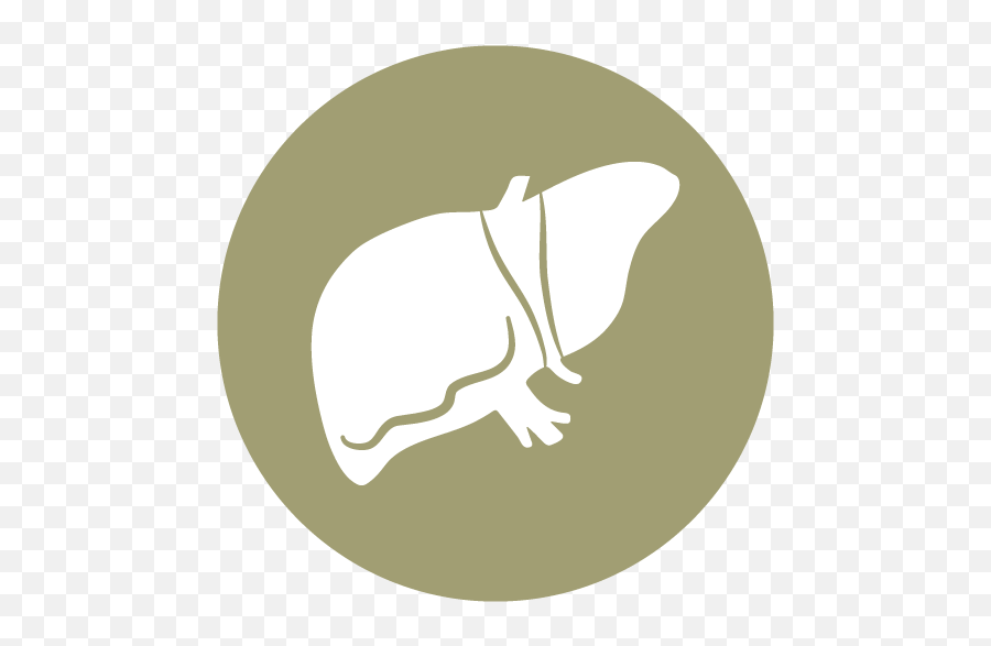 Recovery - Hippopotamus Png,Liver Icon