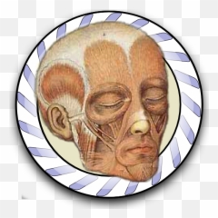 Las 10 Mejores Medicina Salud Y Forma Fisica De 2021 - For Adult png