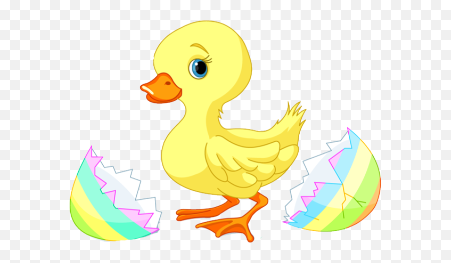Baby Duck Png Download Free Clip Art - Baby Ducks Clipart,Duck Clipart Png