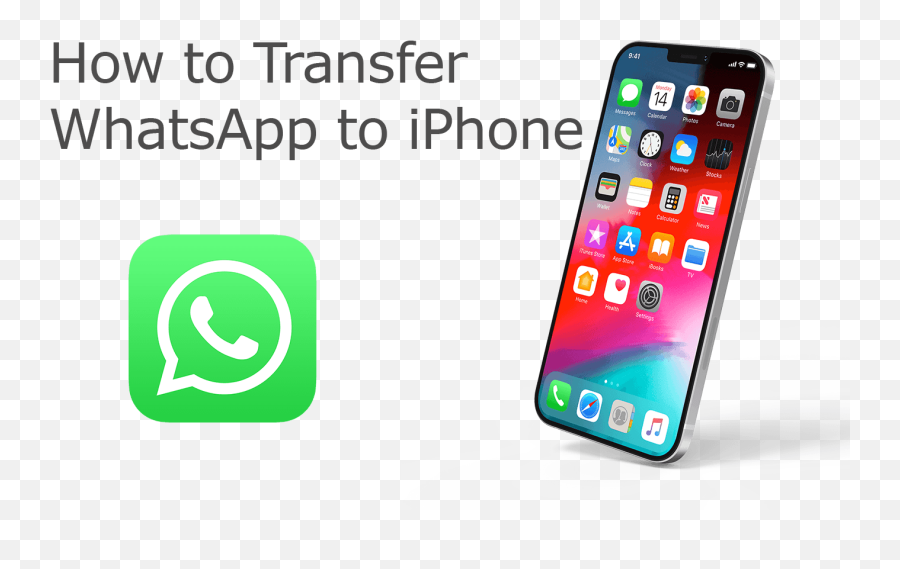 How To Transfer Whatsapp Messages From - Whatsapp Png,Whatsapp Clock Icon