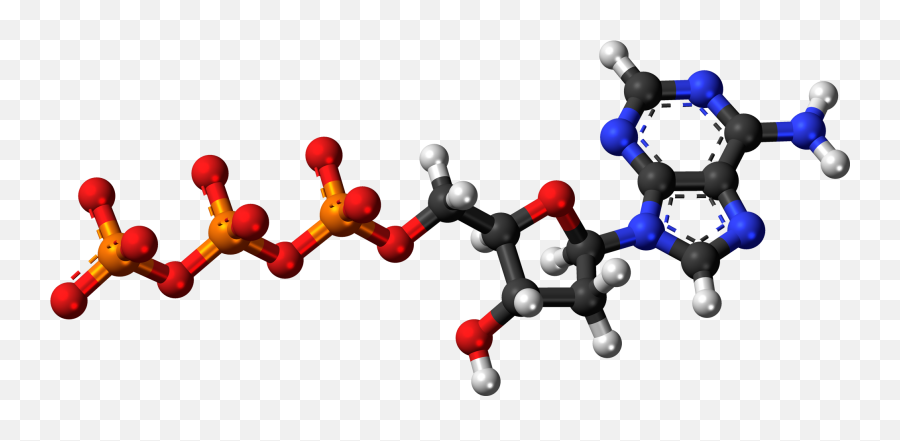 Filedeoxyadenosine - Triphosphateanion3dballspng Wikipedia Atp Molecule 3d,3d Model Icon