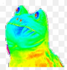 Rainbow Frog - Transparent Roblox Dancing Rainbow Frog Gif Png,Transparent Frog