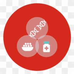 Factors Influencing The Microbiomes Purina Institute - Dot png