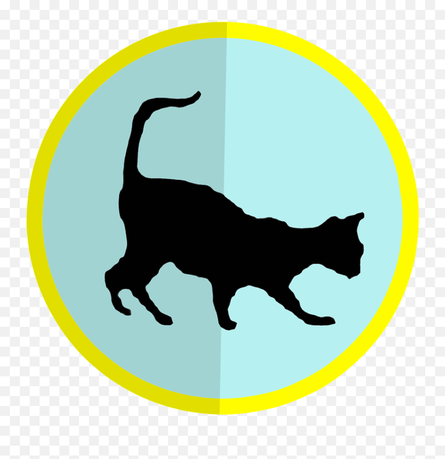 Free Photo Icon Animals Shadow Clipart Pit Cat Zoo Kitty - Cat Png,In The Shadow Of An Icon