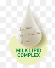 What Is Milk Lipid Complex Friso - Language png