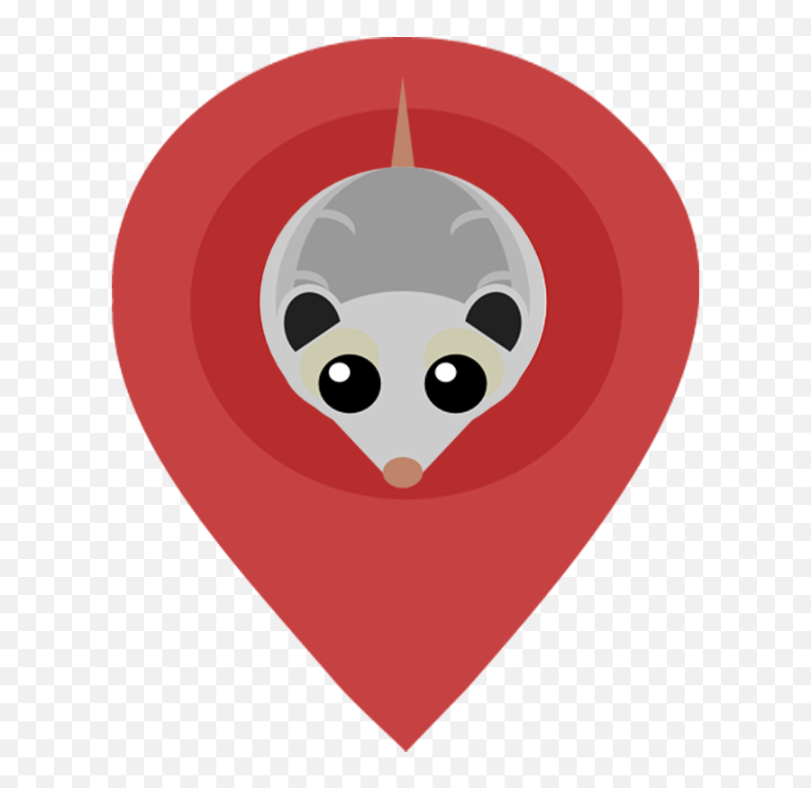 Hybrid Local Seo Marketing - Seo Brain Marketing Png,Possum Icon