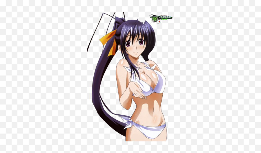 Akeno Himejima Images Icons Wallpapers And Photos Transparent PNG