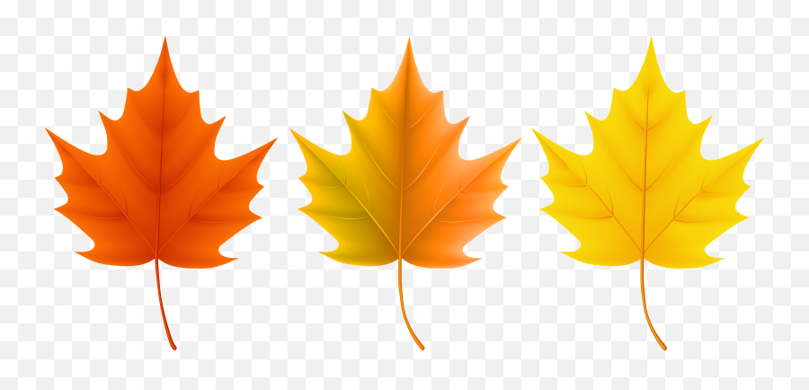 Leaves Clipart Autumn - Leaves Colors Png,Fall Leaf Transparent