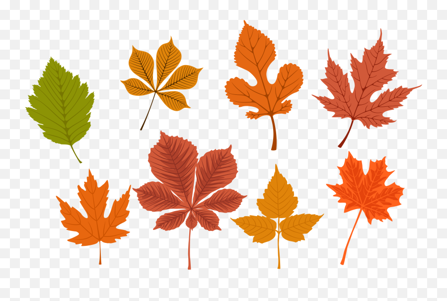 Free Png Autumn Leaves - Konfest,Falling Leaves Transparent
