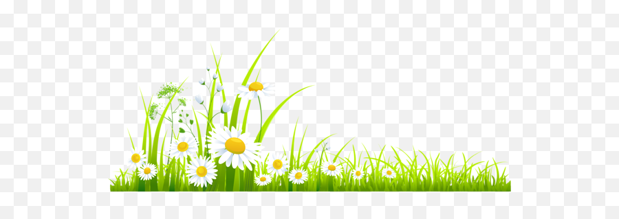 Spring Grass With Camomile Png Clipart Blumen - Transparent Spring Clipart,Grass Clipart Png