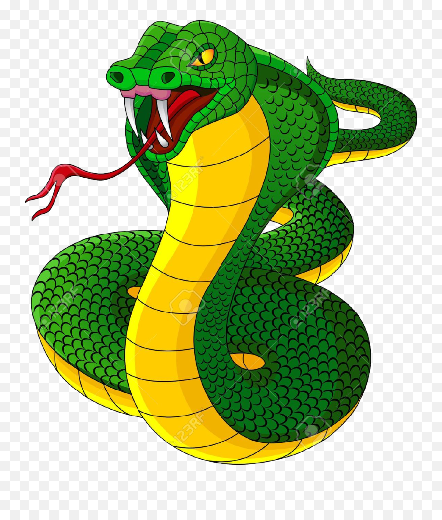 King Cobra Png Transparent Background