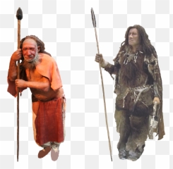 Filecomparison Of Neanderthal And Homo Sapiens Version 1 - Homo Neanderthalensis Homo Sapiens Png,Spear Png