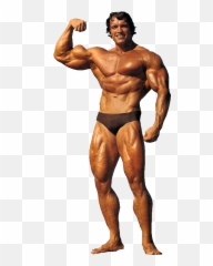 Lou Ferrigno Dwayne Johnson Png Image - Arnold Schwarzenegger Body Png,Dwayne Johnson Png