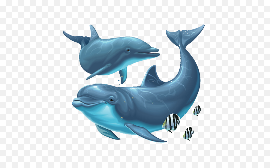 Dolphin Png File - Under The Sea Dolphin Full Size Png Dolphin Png,Under The Sea Png
