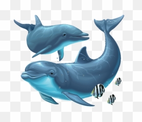 Dolphin Png File - Under The Sea Dolphin Full Size Png Dolphin Png,Under The Sea Png