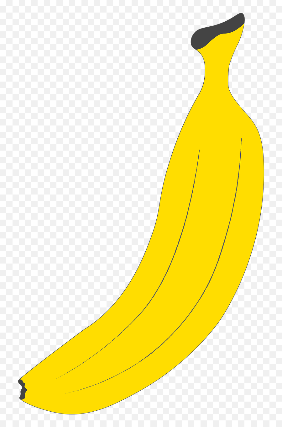 Banana Fruit Bananas - Saba Banana Png,Bananas Png