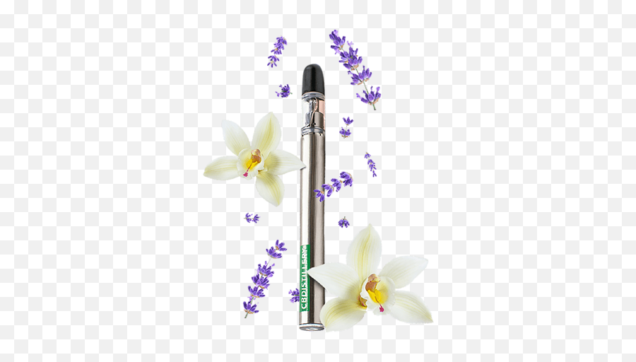 Cbd Vape Pen - Electronic Cigarette Png,Vape Pen Png
