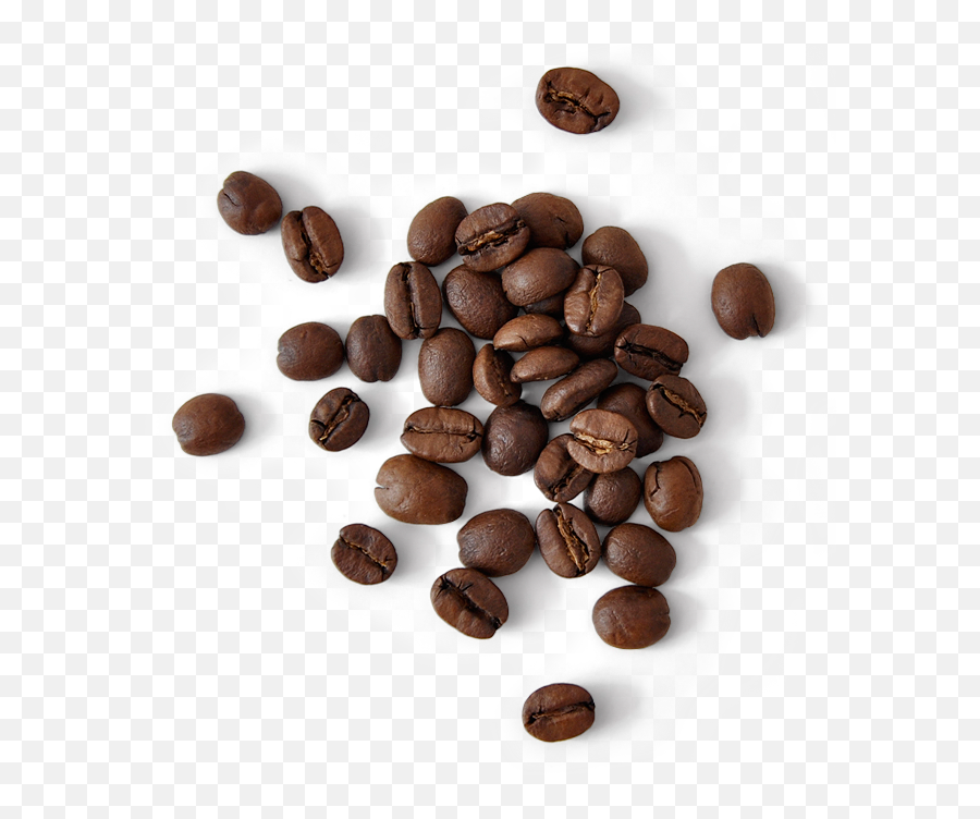 Vietnam Coffee Republic - Coffee Bean Top Png,Coffee Bean Png