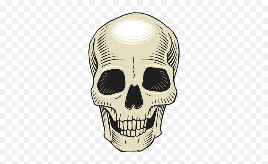 Skeleton Head Png Transparent Images - Skull Png,Skeleton Png Transparent
