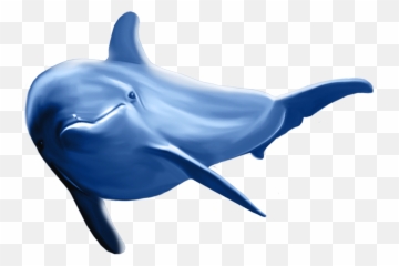 Art Images Clip Logos - Dolphin Fish Png,Dolphins Png