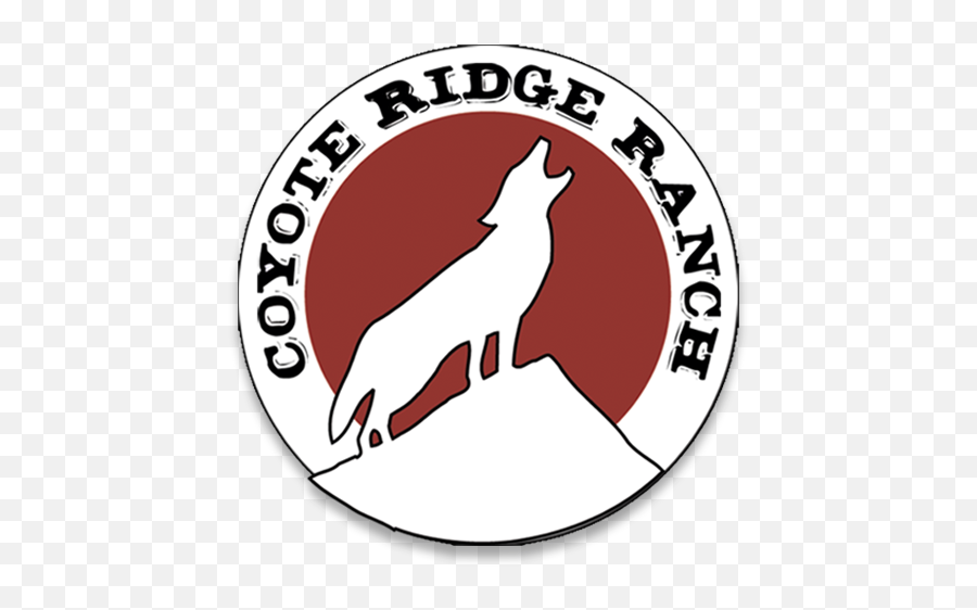 Roll Tide Herd Bulls Coyote Ridge Herefords - Northern Breed Group Png,Roll Tide Png
