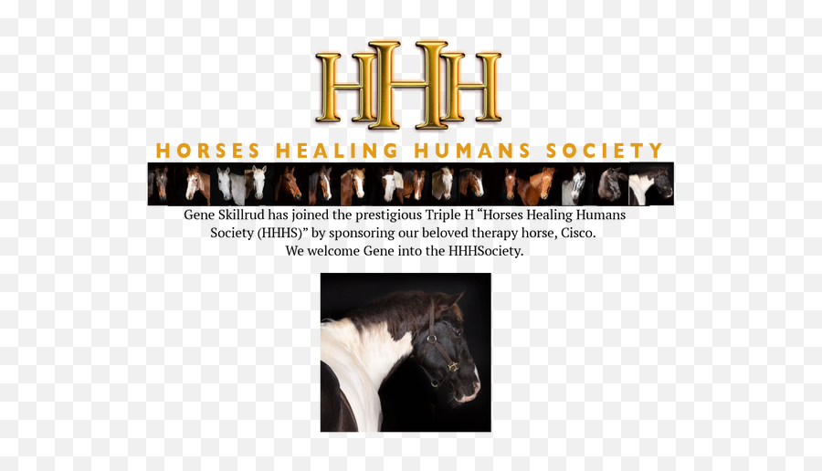 Hhh Society - Horse Supplies Png,Triple Hhh Logos