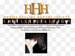 Hhh Society - Horse Supplies png