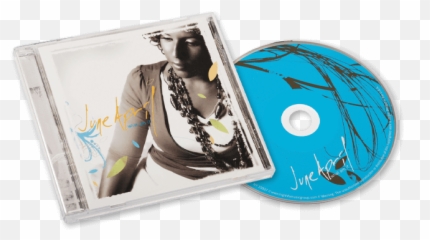 Cd Duplication - Auxiliary Memory png