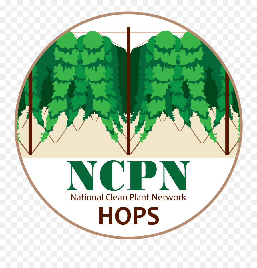 Resource Library - National Clean Plant Network Melbourne Knights Png,Hops Png