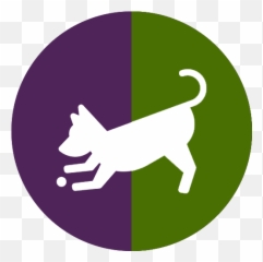 Club Canine Dog Boarding Doggy Daycare U0026 Grooming - png