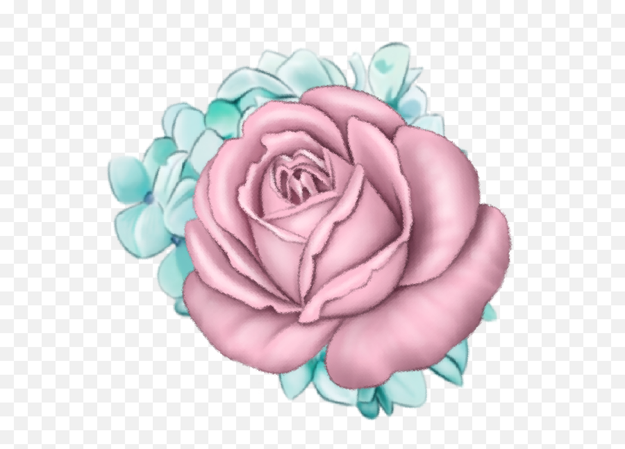 Singlerose Blushpink Sticker By Stacey4790 - Girly Png,Blue Rose Icon