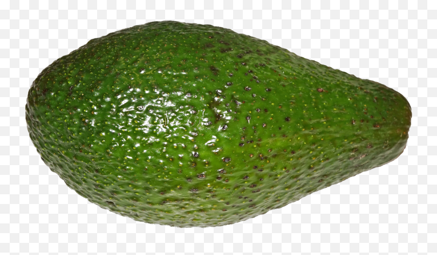 Avocado - Avocado Png,Avocado Transparent Background