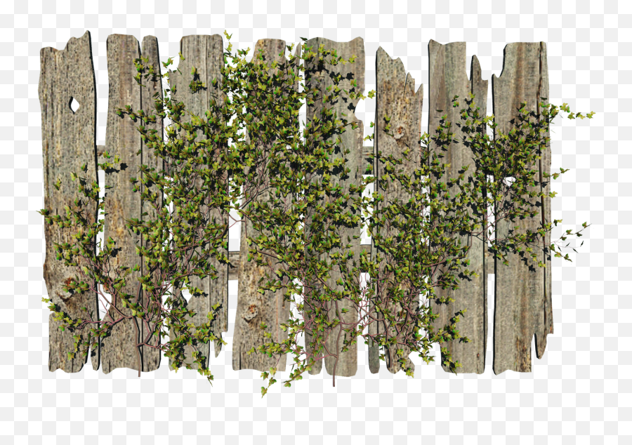 Download Fence Free Png Transparent Image And Clipart - Plant Fence Png,White Picket Fence Png