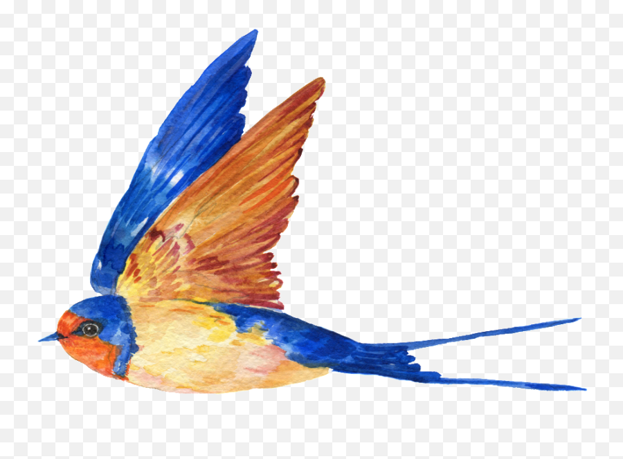 Hand Painted A Free Flying Bird Png - Painted Bird Png Flying,Blue Bird Png