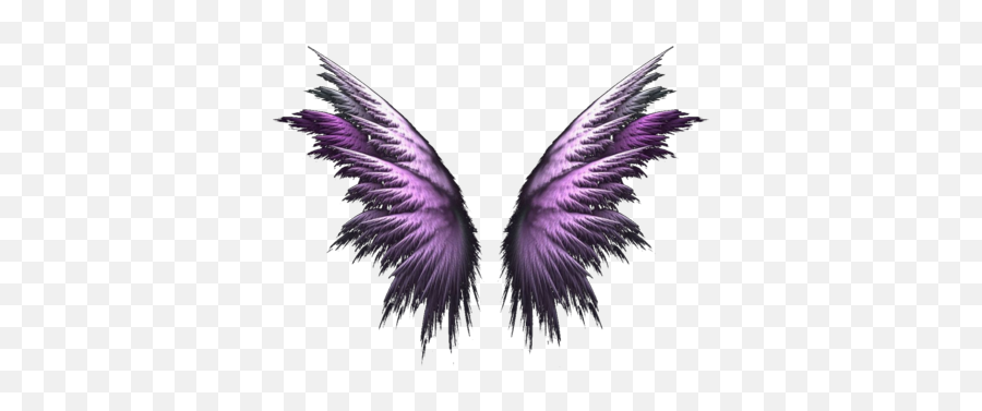 Angel - Wingspsd40558png Photo By Kimivengenz Photobucket Angels Walk Among Us,Wing Png