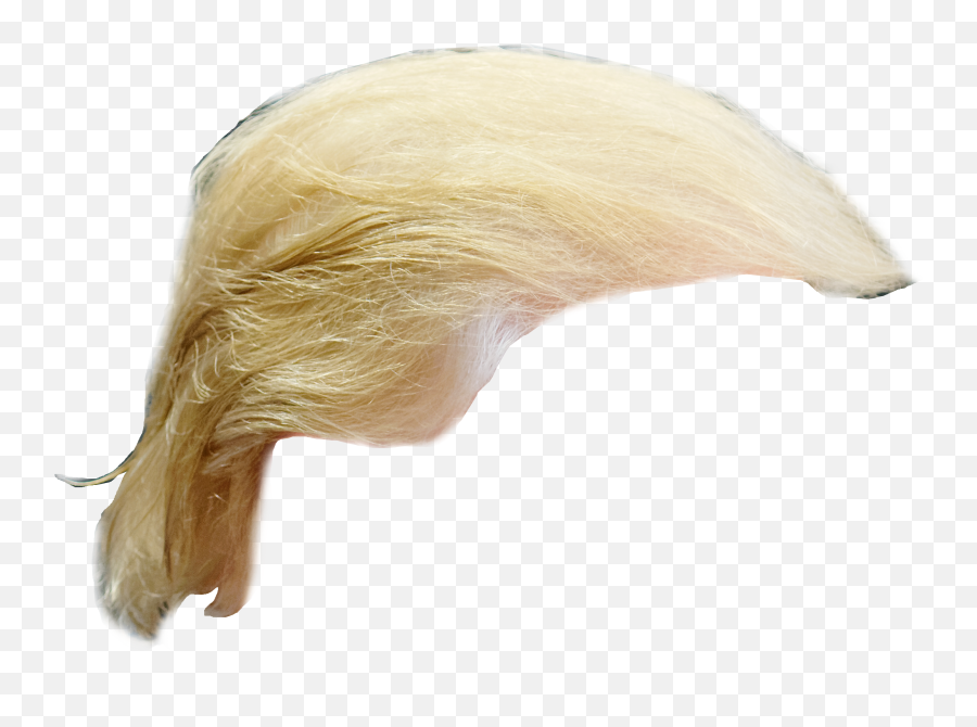 Trump Hair - Donald Trump Hair Png,Trump Png