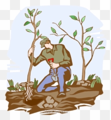 Planting Trees Royalty Free Vector Clip Art Illustration - Plant Tree Png