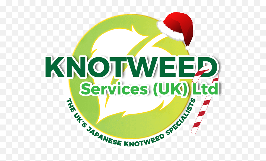 Merry Christmas U0026 Happy New Year - Knotweedservicescouk Anime Png,Merry Christmas Logo