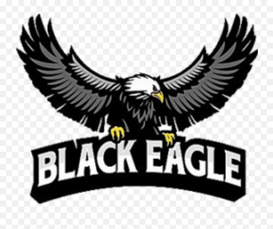Black Eagle - Black Eagle Png,Eagle Logo Images
