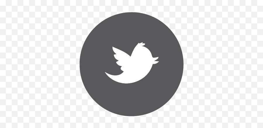 Southern Dallas Social Polished - Twitter Circle Logo Jpg Png,Twitter Logo Black Background