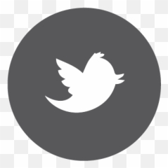 Southern Dallas Social Polished - Twitter Circle Logo Jpg png