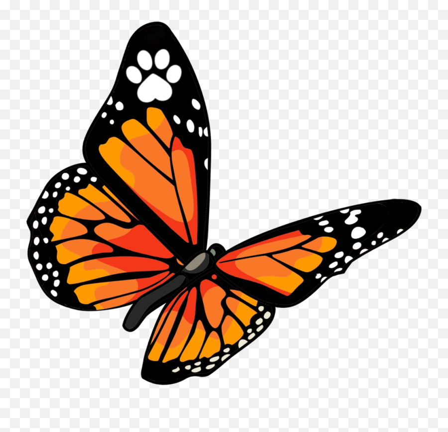 Monarch Vet Tech Services - Butterfly Png,Monarch Png