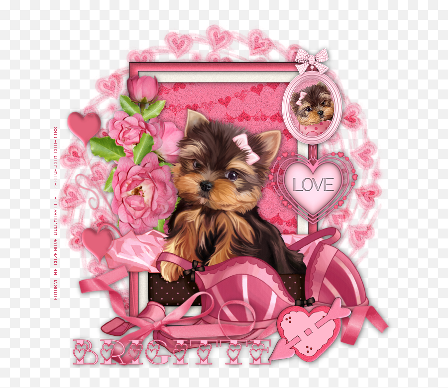 Yorkie Puppy Teacup - Rose Png,Yorkie Png